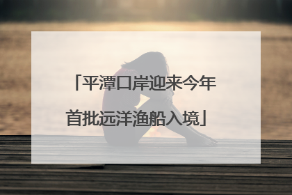 平潭口岸迎来今年首批远洋渔船入境