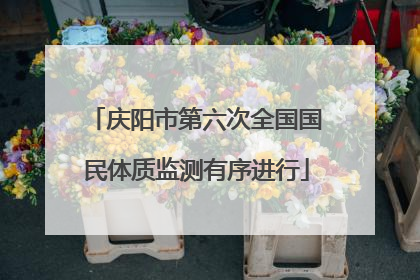 庆阳市第六次全国国民体质监测有序进行
