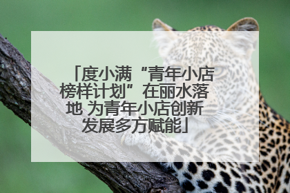 度小满“青年小店榜样计划”在丽水落地 为青年小店创新发展多方赋能