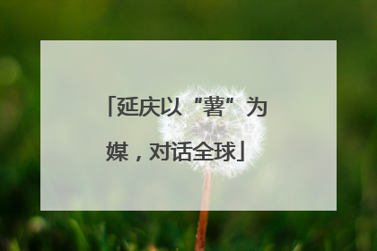 延庆以“薯”为媒，对话全球