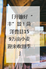 开镰好“丰”景！菏泽曹县159万亩小麦迎来收割季