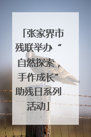 张家界市残联举办“自然探索，手作成长”助残日系列活动