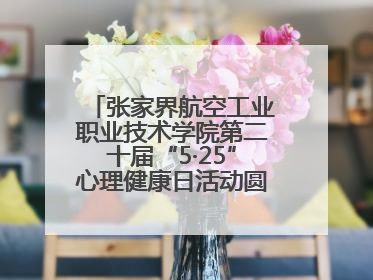 张家界航空工业职业技术学院第二十届“5·25”心理健康日活动圆满收官