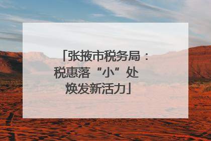 张掖市税务局：税惠落“小”处 焕发新活力