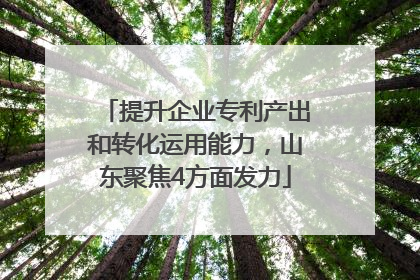 提升企业专利产出和转化运用能力，山东聚焦4方面发力