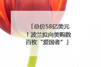 总价58亿美元！波兰拟向美购数百枚“爱国者”