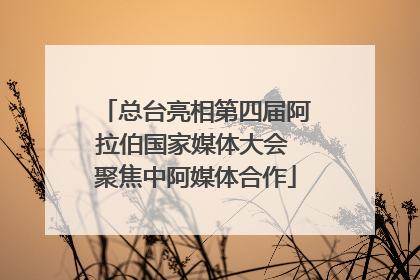 总台亮相第四届阿拉伯国家媒体大会 聚焦中阿媒体合作