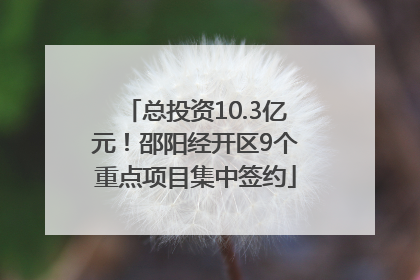 总投资10.3亿元！邵阳经开区9个重点项目集中签约