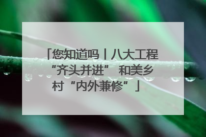 您知道吗丨八大工程“齐头并进” 和美乡村“内外兼修”