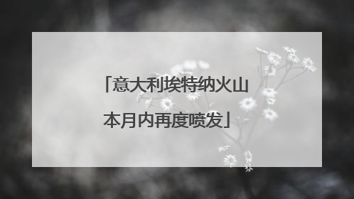 意大利埃特纳火山本月内再度喷发