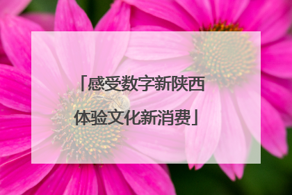 感受数字新陕西 体验文化新消费