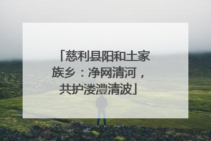慈利县阳和土家族乡：净网清河，共护溇澧清波