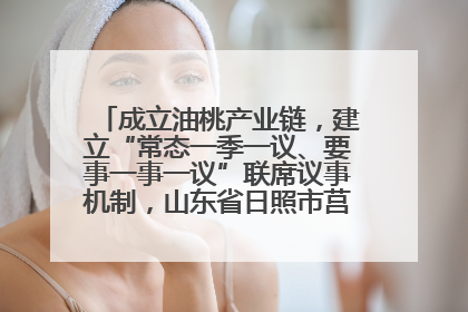 成立油桃产业链，建立“常态一季一议、要事一事一议”联席议事机制，山东省日照市莒县果庄镇——13个党小组“全周期”育果