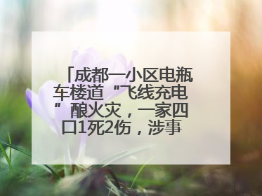 成都一小区电瓶车楼道“飞线充电”酿火灾，一家四口1死2伤，涉事车主被刑拘
