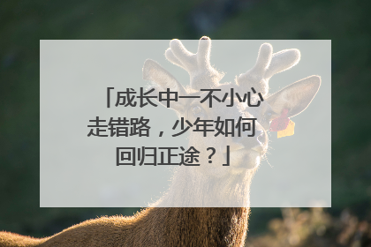 成长中一不小心走错路，少年如何回归正途？
