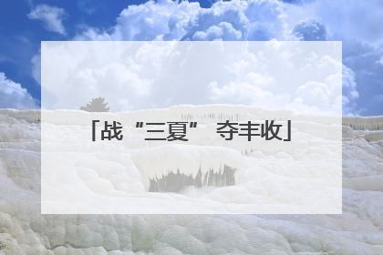 战“三夏” 夺丰收