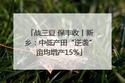 战三夏 保丰收丨新乡：中低产田“逆袭” 亩均增产15%