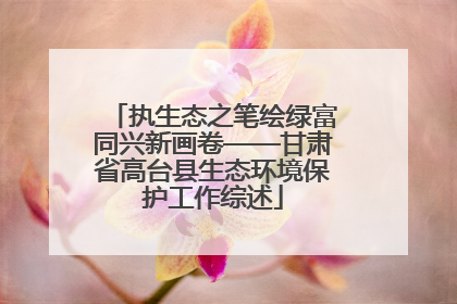 执生态之笔绘绿富同兴新画卷——甘肃省高台县生态环境保护工作综述