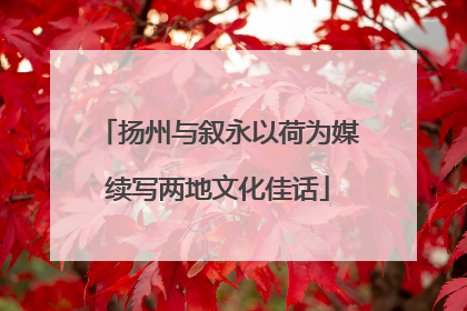 扬州与叙永以荷为媒续写两地文化佳话