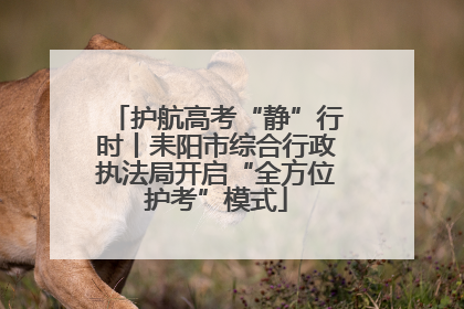 护航高考“静”行时丨耒阳市综合行政执法局开启“全方位护考”模式