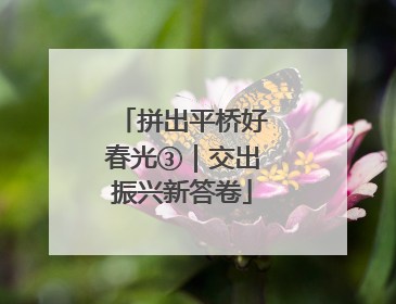 拼出平桥好春光③｜交出振兴新答卷
