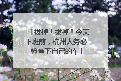 拔掉！拔掉！今天下班前，杭州人务必检查下自己的车