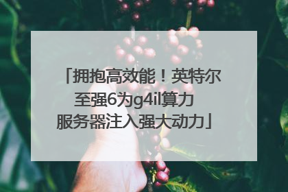 拥抱高效能！英特尔至强6为g4il算力服务器注入强大动力