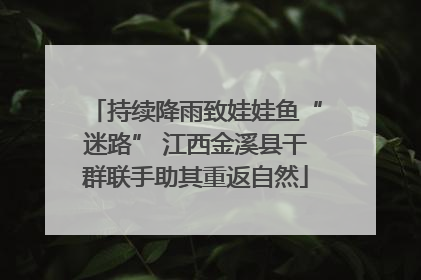 持续降雨致娃娃鱼“迷路” 江西金溪县干群联手助其重返自然