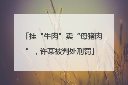 挂“牛肉”卖“母猪肉”，许某被判处刑罚