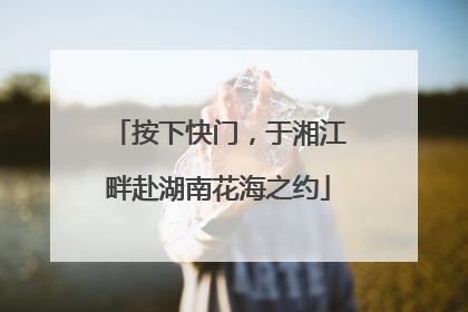 按下快门，于湘江畔赴湖南花海之约