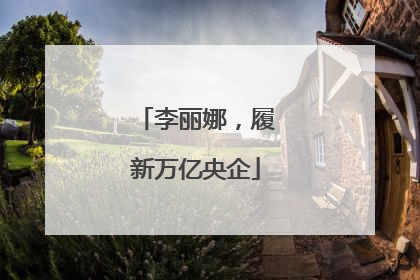 李丽娜，履新万亿央企