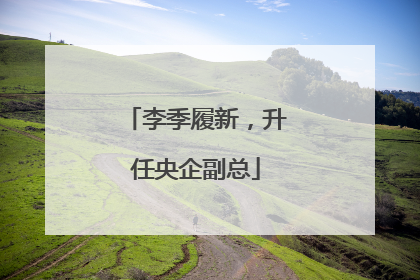李季履新，升任央企副总
