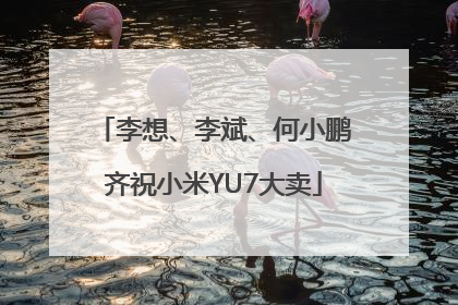 李想、李斌、何小鹏齐祝小米YU7大卖