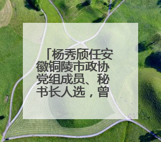 杨秀颀任安徽铜陵市政协党组成员、秘书长人选，曾任枞阳县委书记