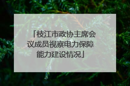 枝江市政协主席会议成员视察电力保障能力建设情况