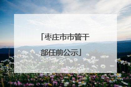 枣庄市市管干部任前公示