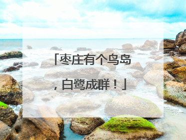 枣庄有个鸟岛，白鹭成群！