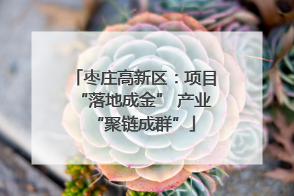 枣庄高新区：项目“落地成金” 产业“聚链成群”
