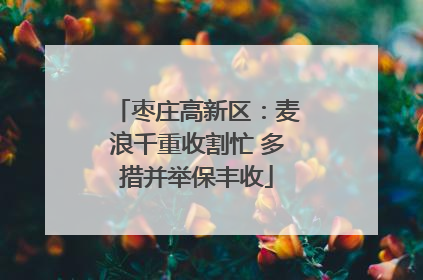 枣庄高新区：麦浪千重收割忙 多措并举保丰收