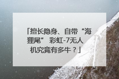 擅长隐身、自带“海狸尾” 彩虹-7无人机究竟有多牛？