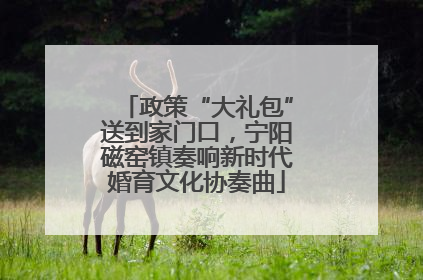 政策“大礼包”送到家门口，宁阳磁窑镇奏响新时代婚育文化协奏曲