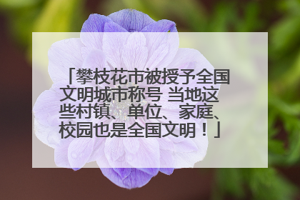 攀枝花市被授予全国文明城市称号 当地这些村镇、单位、家庭、校园也是全国文明！