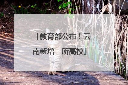 教育部公布！云南新增一所高校