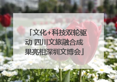 文化+科技双轮驱动 四川文旅融合成果亮相深圳文博会