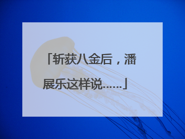 斩获八金后，潘展乐这样说……