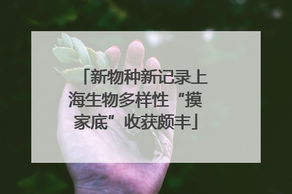 新物种新记录上海生物多样性“摸家底”收获颇丰