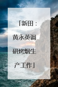 新田：黄永英调研烤烟生产工作