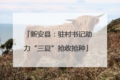 新安县：驻村书记助力“三夏”抢收抢种