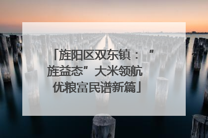 旌阳区双东镇：“旌益态”大米领航 优粮富民谱新篇