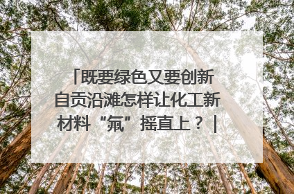 既要绿色又要创新 自贡沿滩怎样让化工新材料“氟”摇直上？｜美好生活有“盐”味